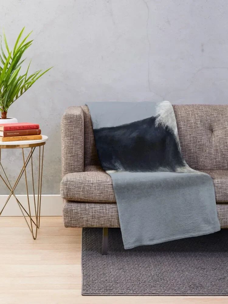 ��� ���� �ݸ� ������ ���, ���Ÿ� St, ���Ÿ�, �β��� ħ�� ����, ���� ���