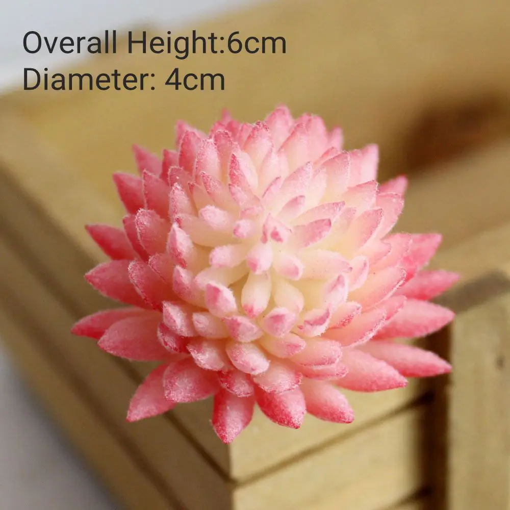Vibrant Multicolor Flocking Succulent Plants