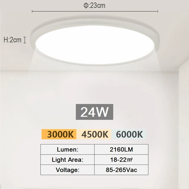 Small Cold White-24W