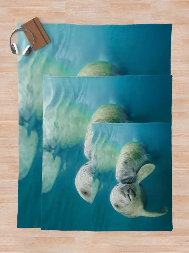 ���� ������ ���, �ܿ�� ǫ���� ���� �� ���