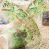 JIANWU 50mm*200cm Fence Plant Series Vintage Flower Landscaping Material Collage PET Tape Creative DIY Journal Stationery 3