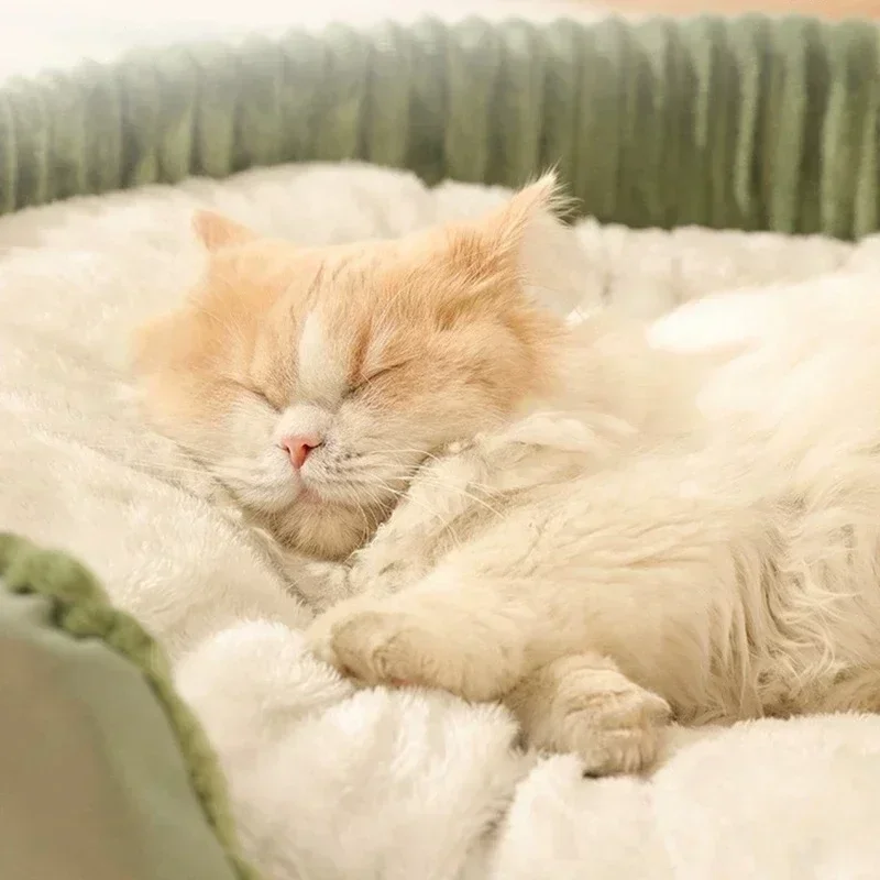 Washable Pet Sofa Bed with Deep Sleep Cushion 3