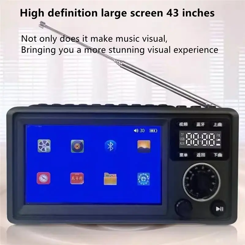 Danoz TechSmart L62A TF card USB AUX connectivity options