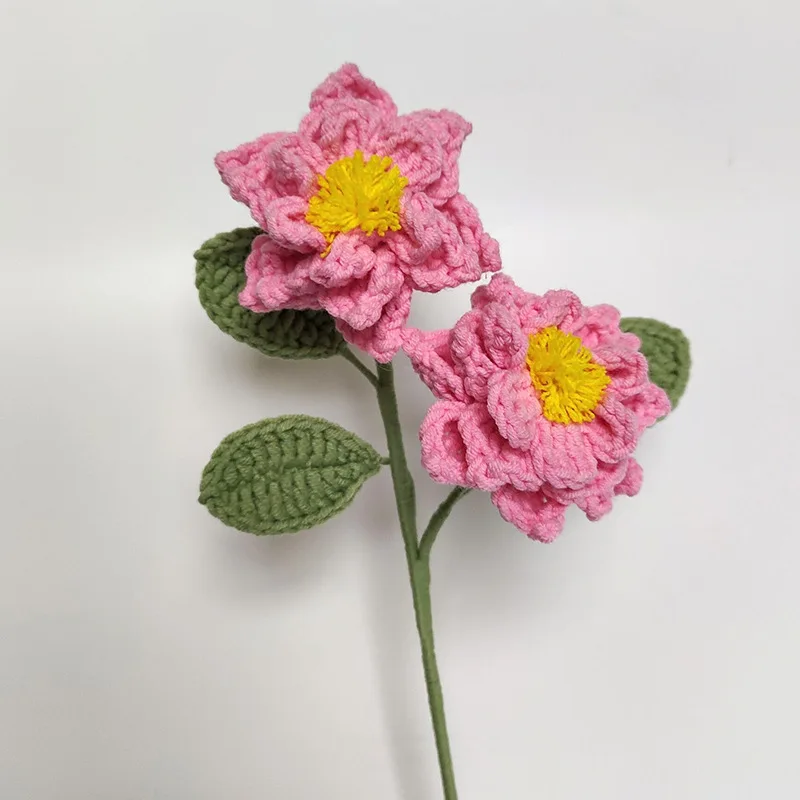 06