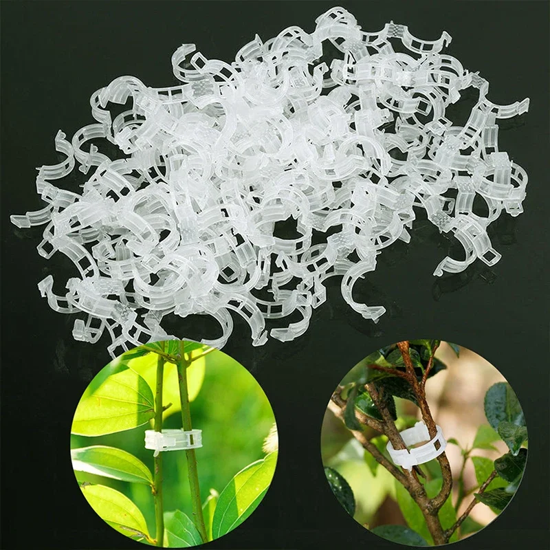

50/100pcs Plant Clips Supports Reusable Plastic Connects Fixing Vine Tomato Stem Grafting Vegetable Plants Orchard Garden Tools