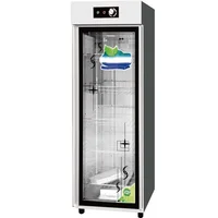 Lyroe Hot Air Circulation Stainless Steel Vertical High Temperature Visible Disinfecting Cabinets 1