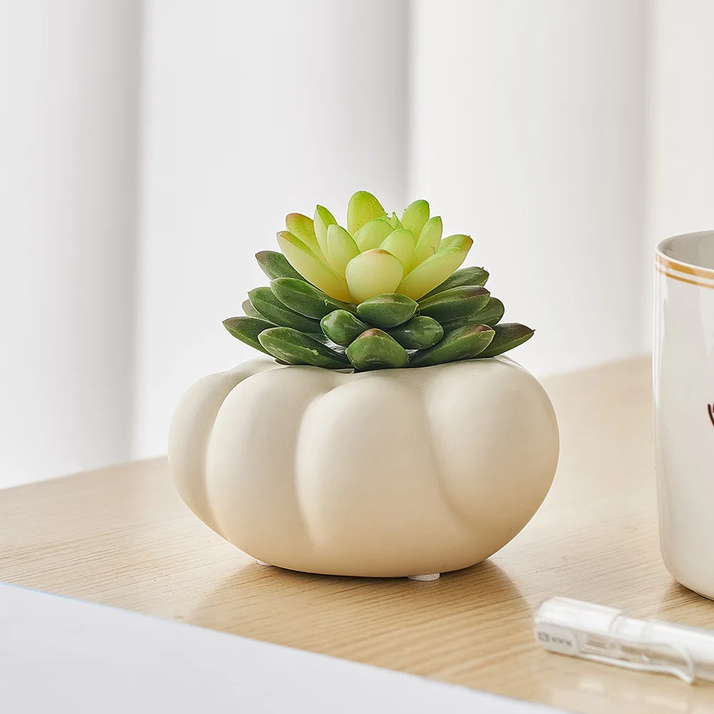 

Минималистичные искусственные кошачьи когти, искусственные украшения для стола, керамическая бутылка, мясистый цветочный горшок, комнатный декор, горшки для растений