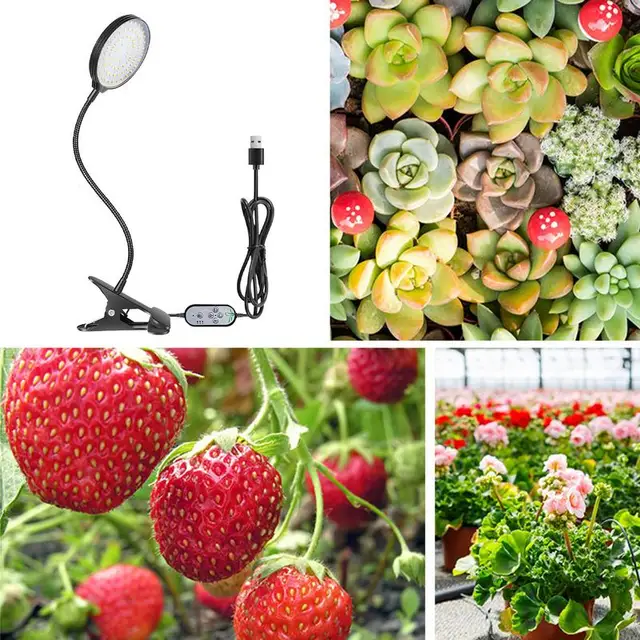 Led Grod Ging Ungal Usb Lapp Kék Red Teljes Spektrum Beltéri Növények Palánták Virág Termesztési Doboz - Image 5