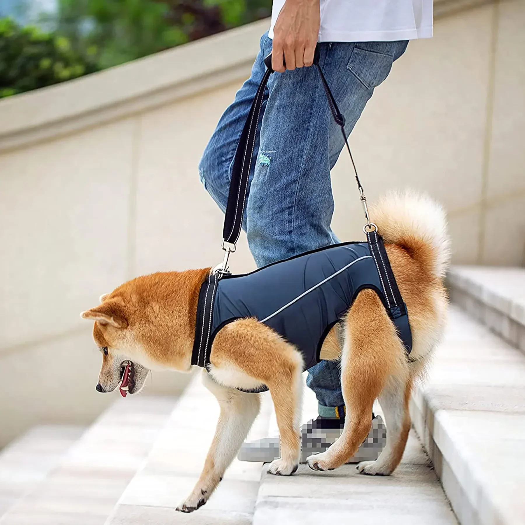 

Injuries Old Lift Support Breathable for Sling Disabled Rehabilitation Arthritis Joint Harness Dog Straps Padded