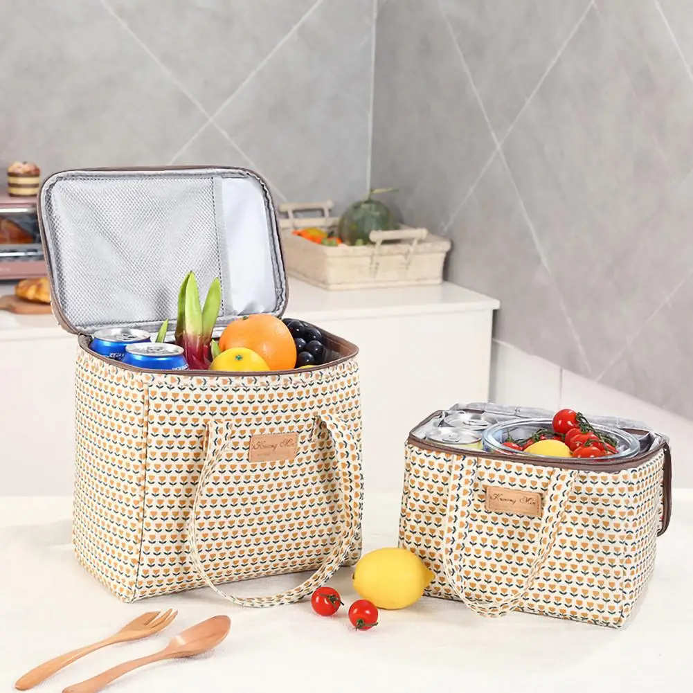 

4.5/9L Insulated Cooler Bag Hand-carried Zipper Closure Food Grade Thermal Insulation Lunch Tote Bag Camping Supplies