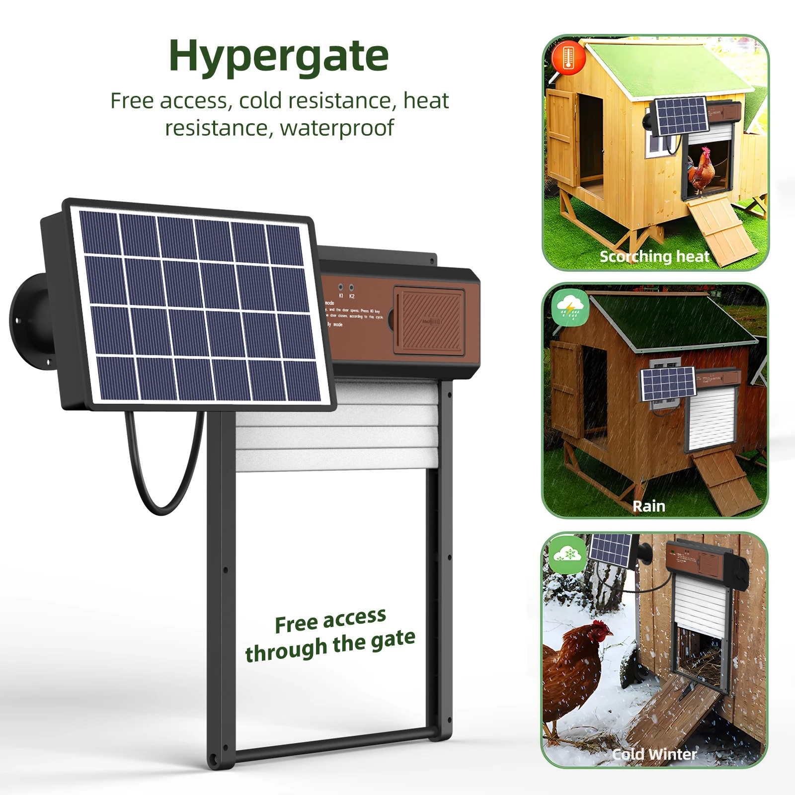 Solar Powered Heat for Chicken Coop: Real Solutions for Cold-Weather Poultry  Care, image size:1600x1600