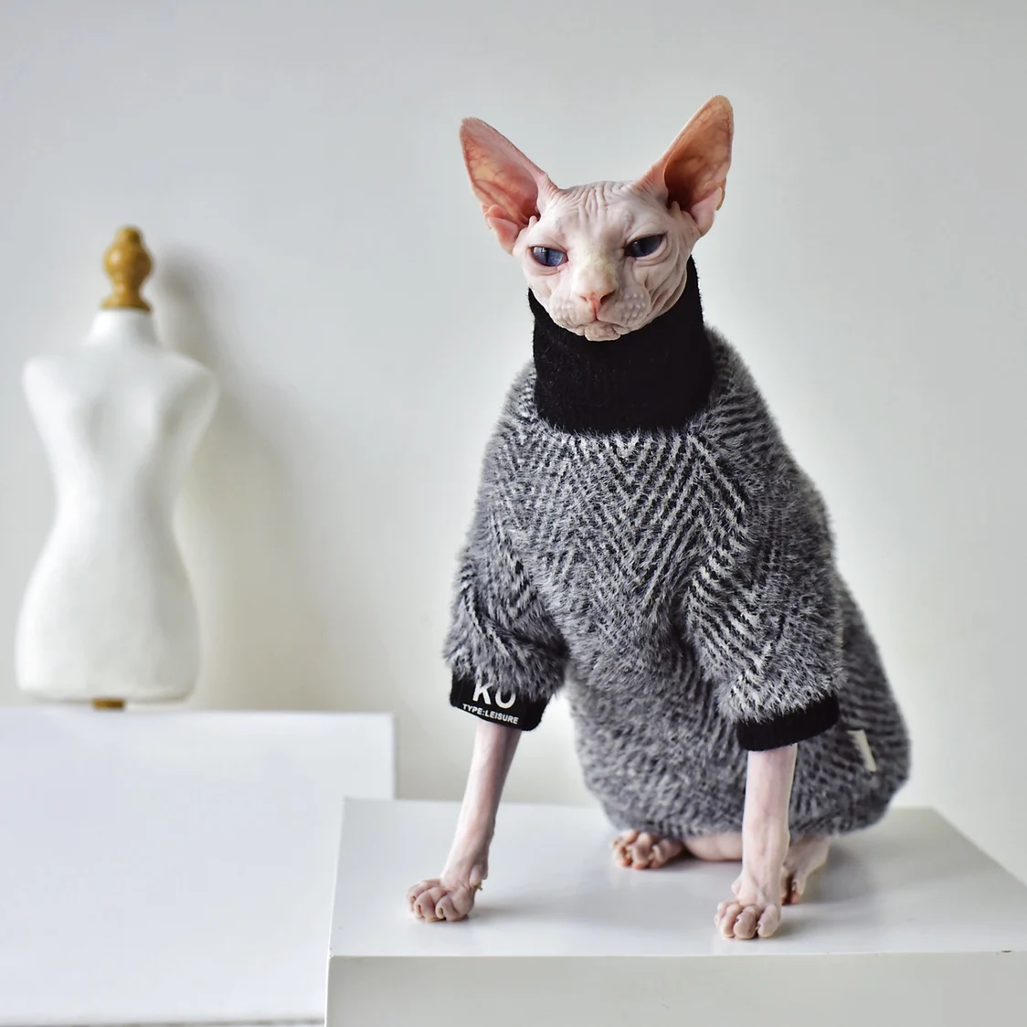 Ropa sin pelo para gato, traje de gatito, jersey para abrigo de invierno, ropa Sphynx _ - AliExpress Mobile