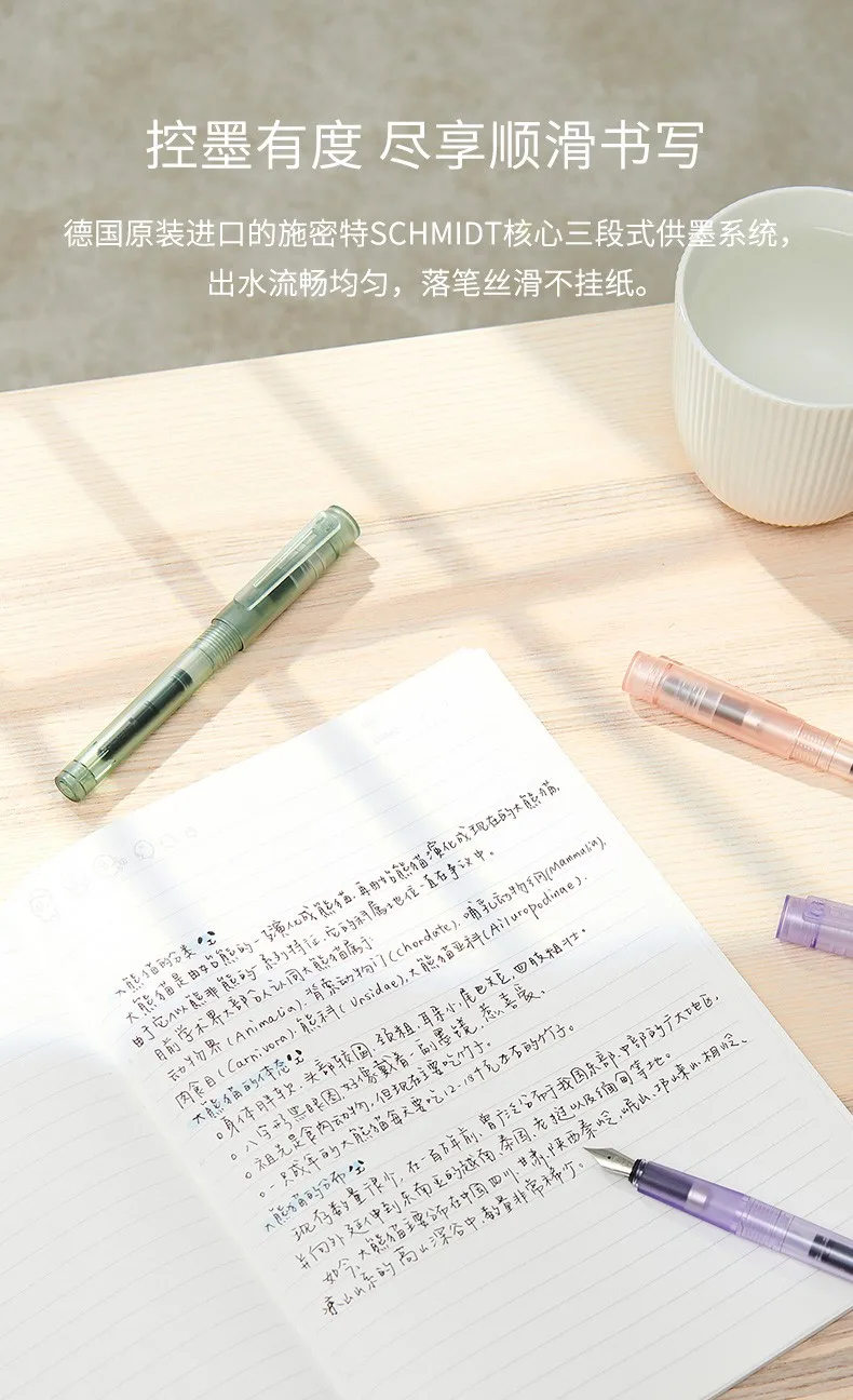 Kaco Füllfederhalter-Set, 0,5 mm EF-Feder, transparent, ру Pier, und Tintenbeutel, Caneta Tinteiro, Büro, Schule, Schreiben, Schreibwaren – Detail 8