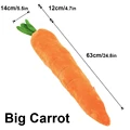 Big Carrot
