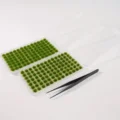 Spring Green Set