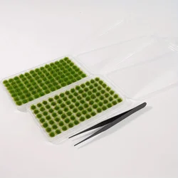 Enhanced Static Model Grass Tuft Kit with Tweezers and Storage Box for Patios and Terrain Projects (Spring Green Set)