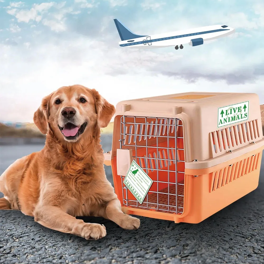 Live Animals Arrow Sticker for Airline Cargo Crates Animal Shipping Handling Instruction 20Pcs