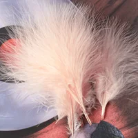 50/100pcs Fluffy Marabou Feather 1