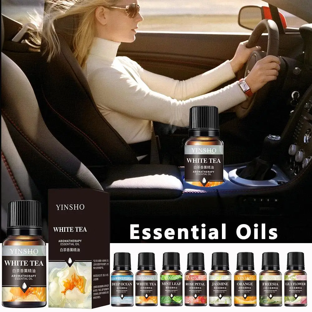 Aromatic Essential Oil Collection - 16 Fragrant Scents