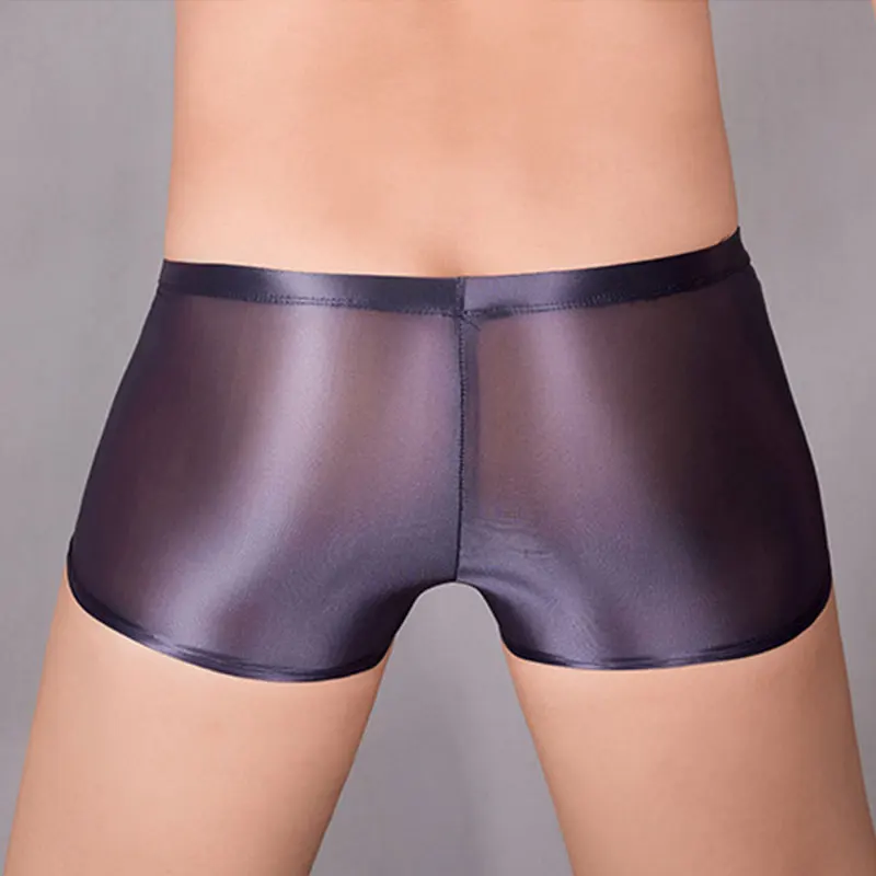Sissy Full Transparent Briefs High Elastic Underwear Gay Man Ultra Thin Mesh Silky Panties Oil Shiny Penis Pouch Underpants 5