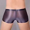 Sissy Full Transparent Briefs High Elastic Underwear Gay Man Ultra Thin Mesh Silky Panties Oil Shiny Penis Pouch Underpants 5