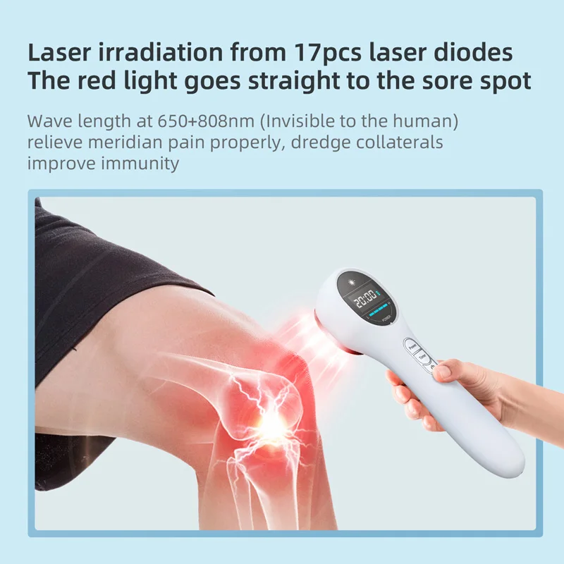 Handheld Infrared Physiotherapy Instrument Semiconductor Laser Therapeutic Instrument Infrared  Pet Postoperative Device