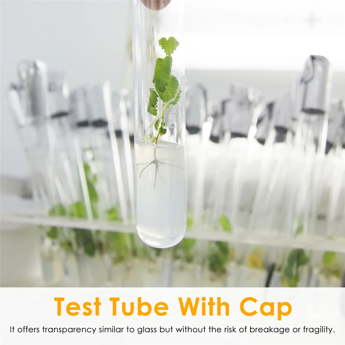 100Pcs 12X100mm Transparent Laboratory Clear Plastic Test Tubes Vials with Push Caps School Lab Supplies