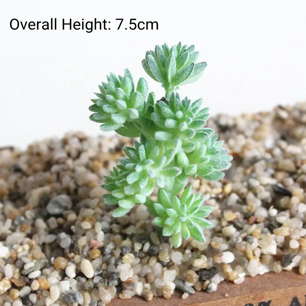 Verdant Flocked Artificial Succulents for Home and Garden Decor