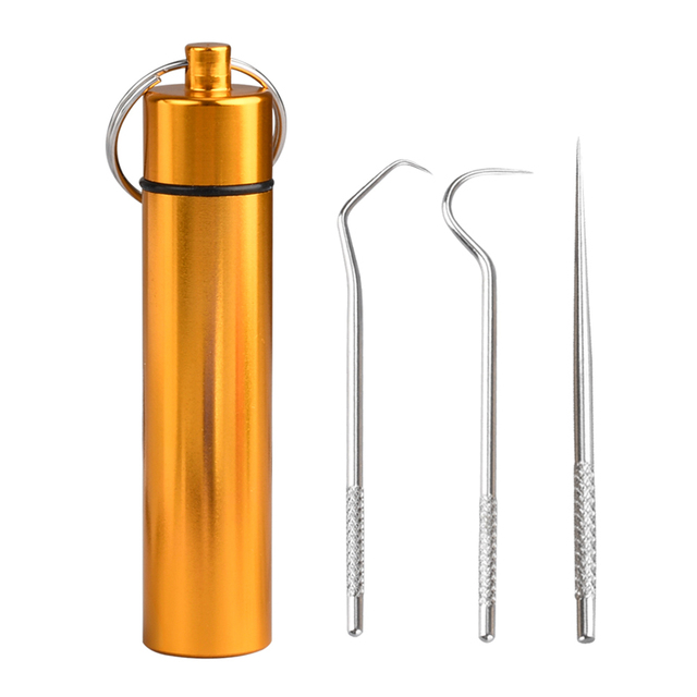 Toothpicks Pocket Set Stainless Steel Tooth Pick Sticks Fruit Fork Reusable Toothpick With Holder For Outdoor Camping