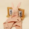 Cotton Gauze Baby Comforter Blanket Cartoon Rabbit Baby Sleeping Doll Solid Color Security Blanket for Infant Kids 6
