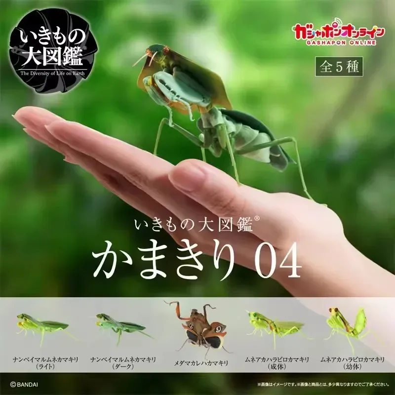 BANDAI - マンティス BANDAI Japan Gashapon Figure Anime Cute Biology Map Mantis