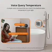 SONOFF SNZB-02LD Zigbee3.0 LCD Smart Thermometer with Probe IP65 Waterproof for Fridge Pool Fish tank Wine Cellar via ZBBridge-P - Image 6