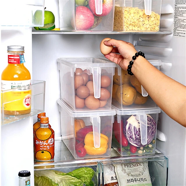 Transparent Kitchen Food Storage Box with Lid Handle, Refrigerator Organizer,  Containers for Grains and Beans, Food Containers - AliExpress