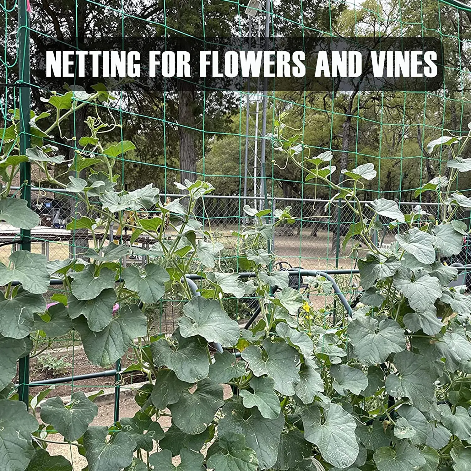 Description Picture 6 of item36 Strands 10cm Cell Plant Climbing Net -Heavy Duty Garden Trellis Netting Plant Netting for Cucumber Vine, Fruits & Vegetable
