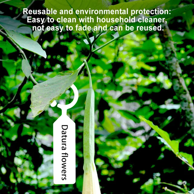 100Db Kertészeti Címke Palánták Virágnövény Zöldségek Címkék Kerti Irányjelző Jel Gyümölcsfák Azonosító Kártyák Újrafelhasználható - Image 3