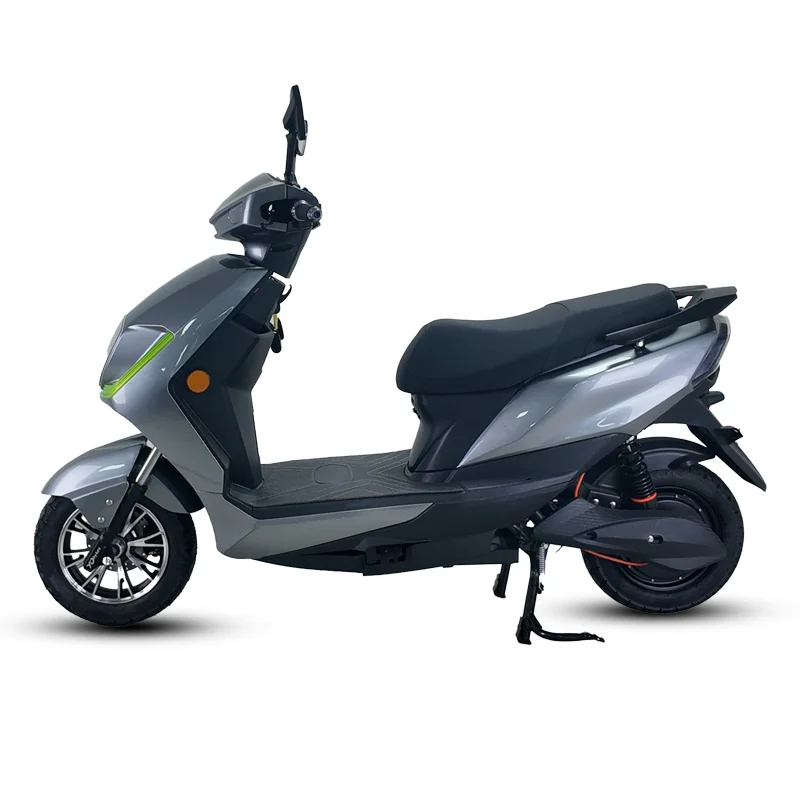 1000W High-Speed Electric Bicycle Motorcycle 5