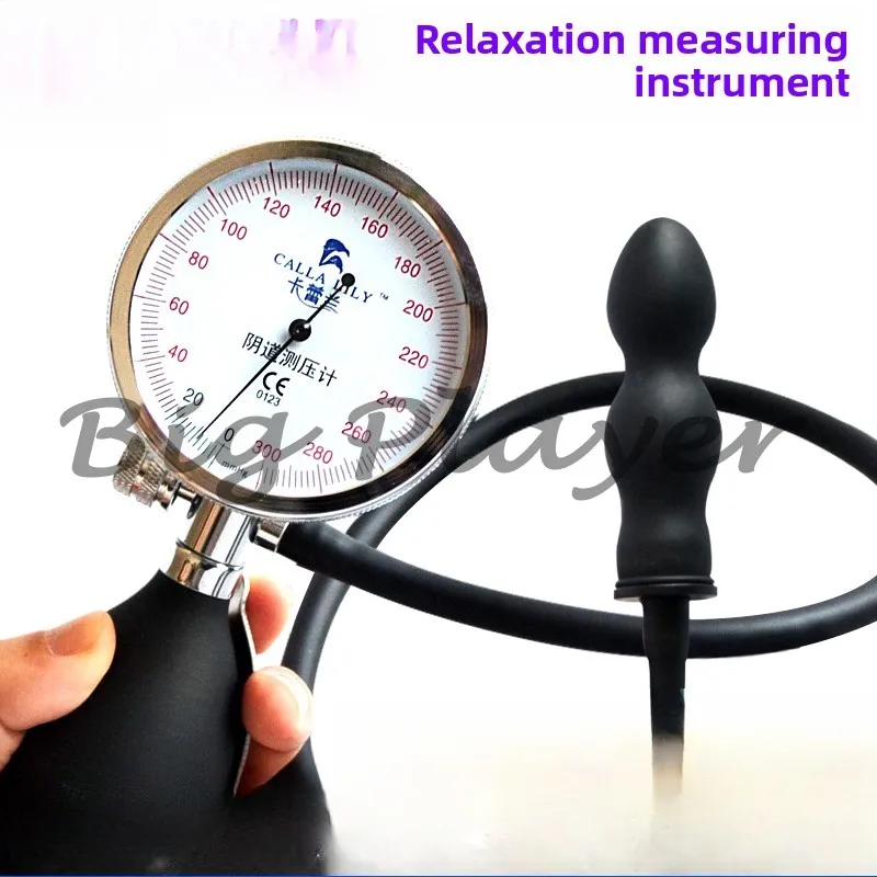 Pressure Gauge Female Private Parts Manometer Pelvic Floor Muscle Stress Testing Instrument Elasticity Detector Floor