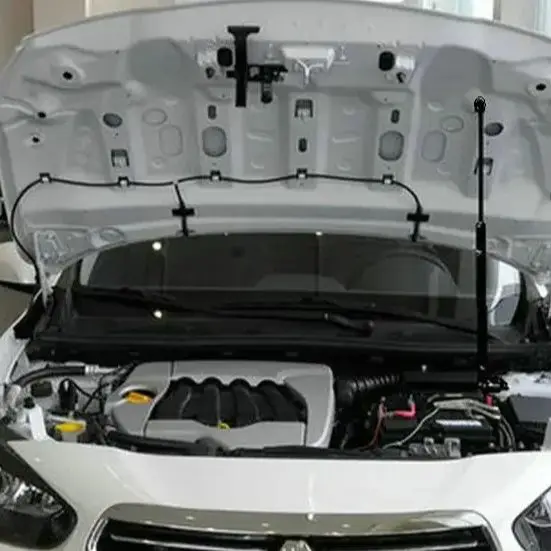 

Модифицирующий капот стойки Комплект для Renault Fluence 2009-2020 Samsung SM3 L38 капот цилиндр амортизатор подъемник пружинный демпфер стержень поршень