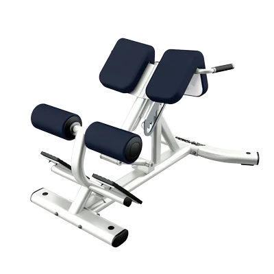 Sedia Romana Pieghevole Regolabile Schienale Hyper Extension Ab Situp Panche Inclinazione Leg Extension Curl Machine Per Home Gym Fitness