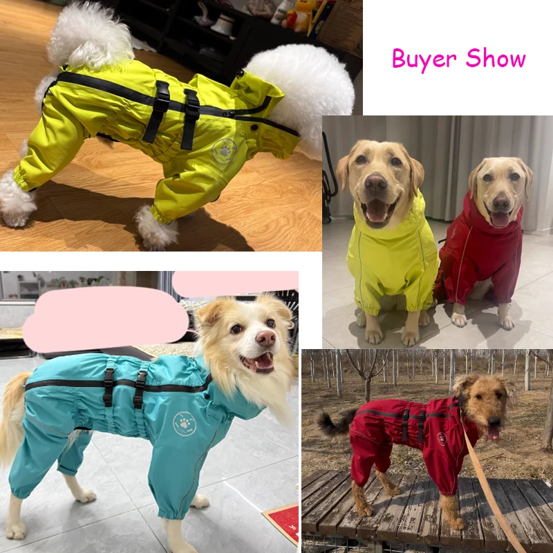 A "Buyer Show" collage featuring different dog breeds wearing the raincoat in real-world settings, including a white Bichon in fluorescent yellow, two Labradors in yellow and red, and a Border Collie in lake blue.