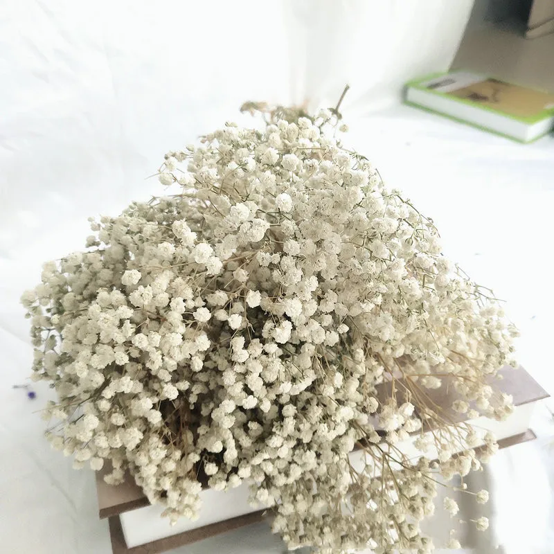 

100g/Lot White Pink Dried Flowers Gypsophila New Arrivals In 2022 Natural Immortality Bouquet For Home Wedding Office Decoration