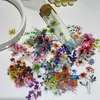 50pcs Transparent INS Ink Flower Cartoon Graffiti Stickers Phone Guitar Notebook Suitcase Water Bottles Waterproof Sticker 4