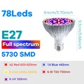 E27 Red Blue 50W