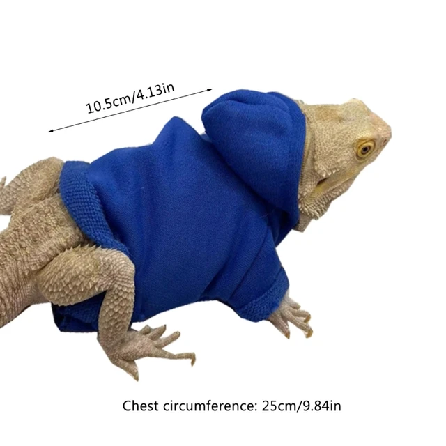 Bearded Dragon Clothes Costume Accessories Apparel Clothing Hand-made Warm Coat Hoodies Jackets for Small Animal Geckos 6