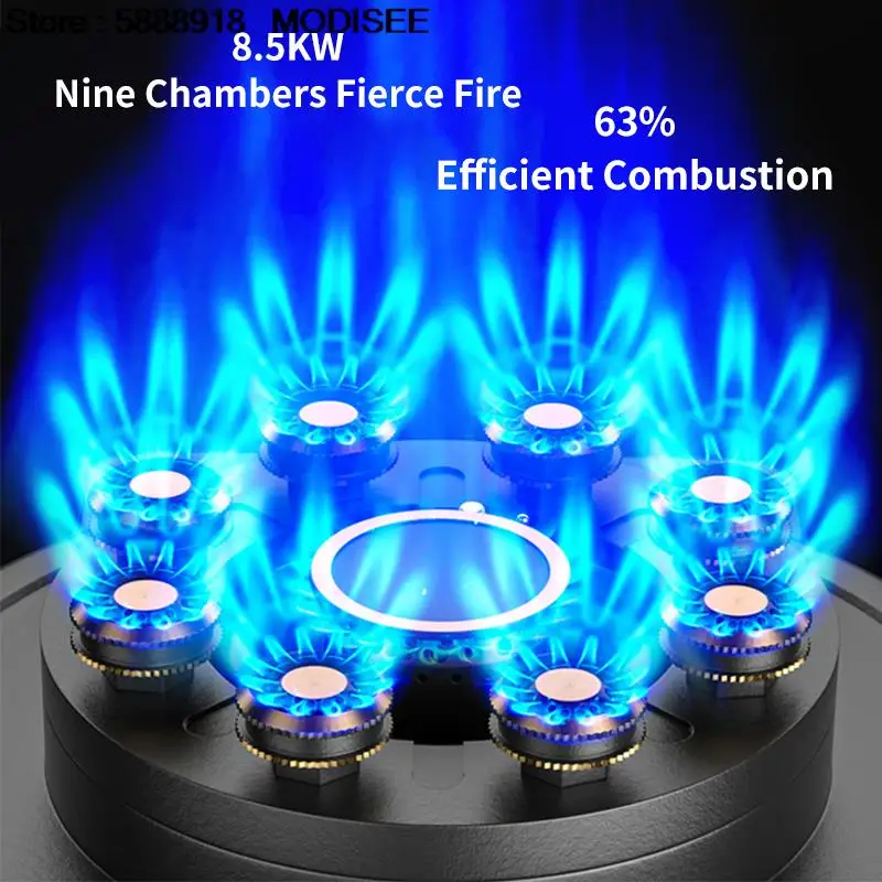 Cooktop Gas Stove 2 Burners Dual Stove 4.8KW Household Embedded LNG/LPG Stove Desktop Dual-Use Hob Gas Panel Gas Kitchen Cooker 3