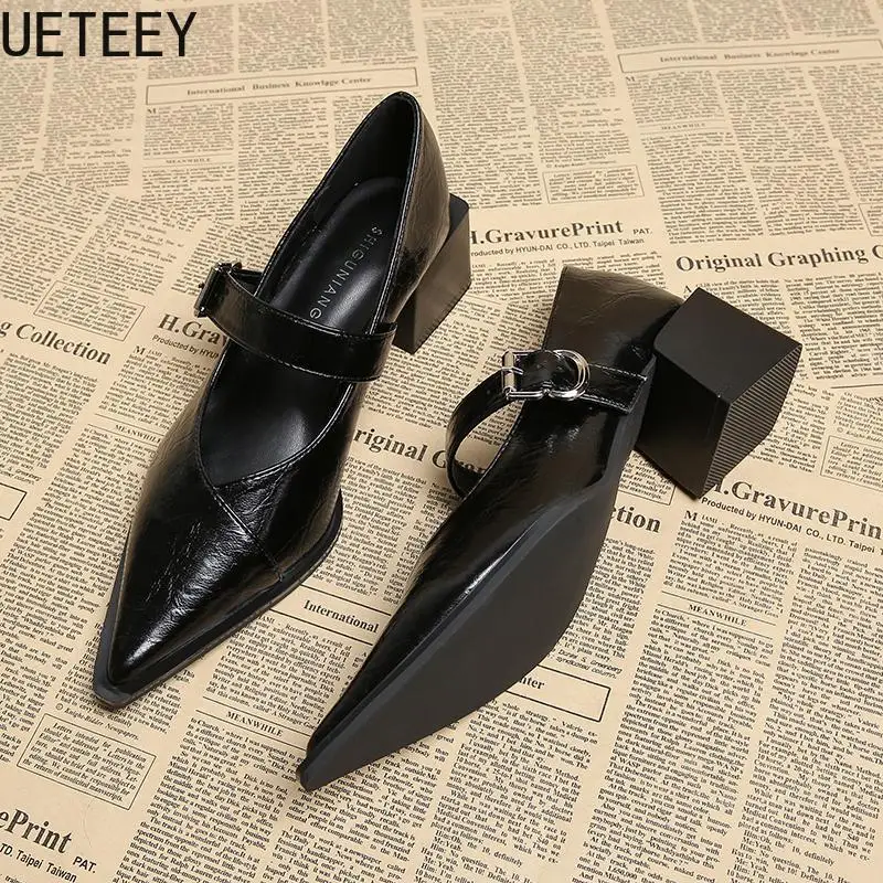 Designer Vintage Pointed Toe Women Mary Jane Shoes Fashion Shallow Buckle Shoes Spring Ladies Elegant Dress Thick Heel Shoes 3