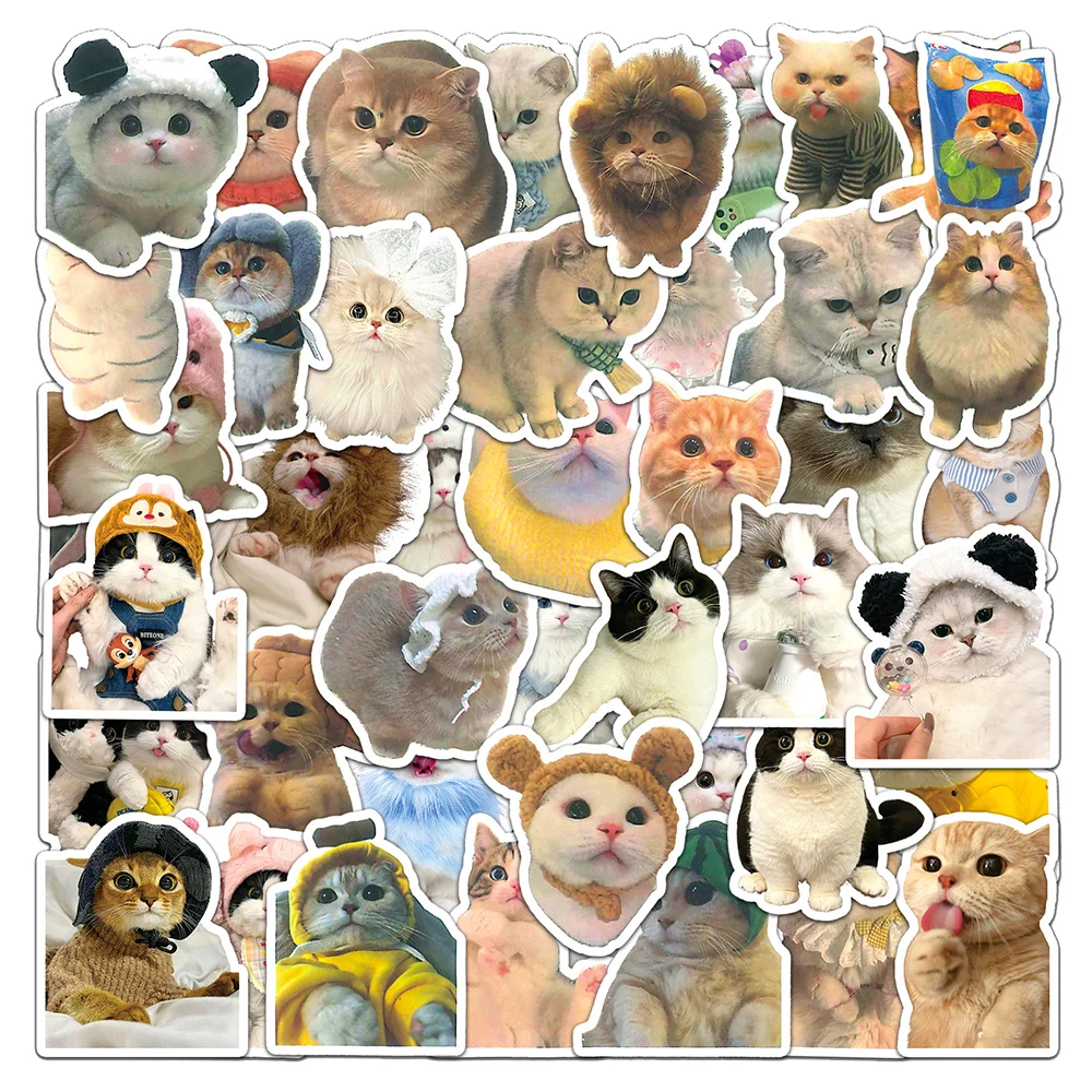 

10/30/50/100pcs Cute Funny Animal Cats MEME Stickers Aesthetic INS Style Cartoon Decals Decorative Stationery Phone Case Laptop