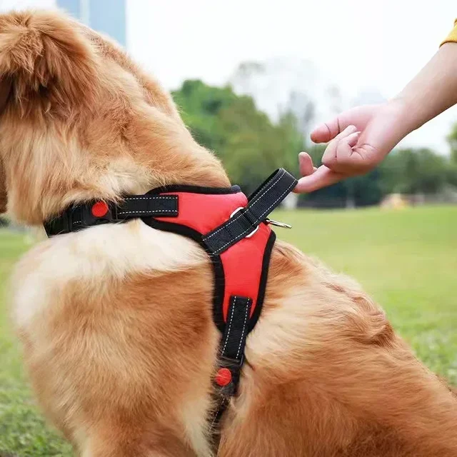 Dog Harness And Leash Set No Pull Adjustable Comfortable with Easy Control Handle Outdoor Running Walking Hand Free Lead Leash 2