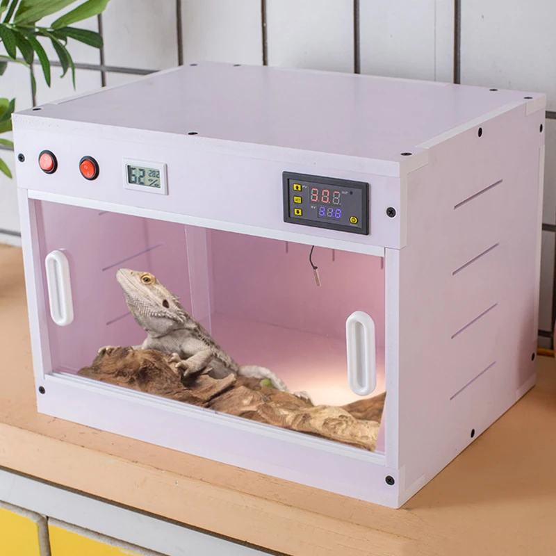 Thermostatic Terrariums 2