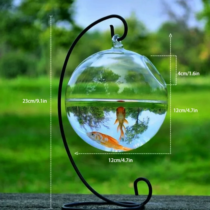 Title 6, Creative Transparent Spherical Fish Tank Small ...
